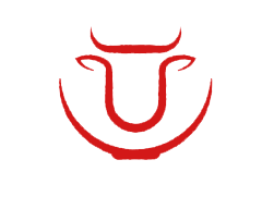 조박사 로고